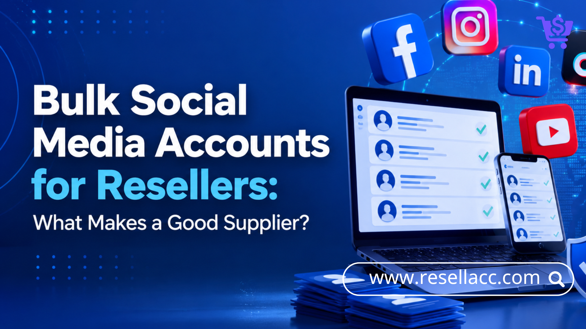 Bulk Social Media Accounts for Resellers: What Makes a Good Supplier?